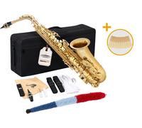 Saxophone Alto en Laiton Laque Saxo Instrument a Vent Set Coffre 10pc 2,5 Anches
