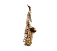 Saxophone Alto En Mi Bémol Pour Débutants Et Professionnels Saxophone
