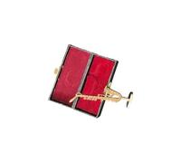 Saxophone alto fait main laiton plaqué or décoration d'instruments de musique avec étui de protection pour amoureux de la musique Modèle saxophone plaqué or cadeau