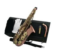 Saxophone Alto Professionnel Instrument À Vent En Bois Avec Étui Saxophone Professionnel