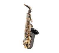 Saxophone alto, un instrument en laiton adapté aux joueurs professionnels, dans la tonalité de mi bémol,E