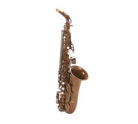 Saxophone alto, un instrument en laiton adapté aux joueurs professionnels, dans la tonalité de mi bémol,B