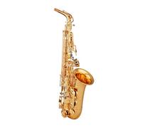 Saxophone alto, un instrument en laiton adapté aux joueurs professionnels, dans la tonalité de mi bémol,A