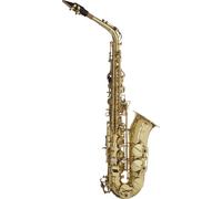 Saxophone Ancien, Dans Un Étui Souple, WS-AS215S