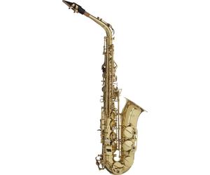 Saxophone Ancien, Dans Un Étui Souple, WS-AS215S