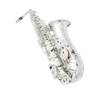 Saxophone Débutants Saxophone Alto En Mi Bémol Instrument À Vent En Bois Avec Étui Anche Bec Gants Et Autres Accessoires