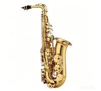 Saxophone en laiton for débutant, instrument de musique Alto E-Flat, Saxophone laqué doré avec sac de protection(Intermediate)