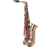 Saxophone Es-Alt, Dans Un Étui Souple, Finition Dorée
