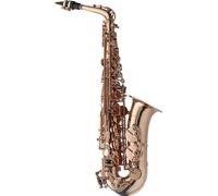 Saxophone Es-Alt, Dans Un Étui Souple, Finition Dorée