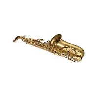 Saxophone Professionnel Pour Adultes Interprétation Ou Pratique Professionnelle Du Saxophone En Mi Bémol