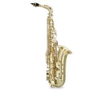 Saxophone Saxo Alto Instrument a Vent en Laiton Brossé Set Coffre Embouchure