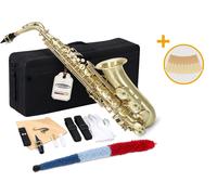 Saxophone Saxo Alto Instrument a Vent en Laiton Brossé Set Coffre et 10x anches