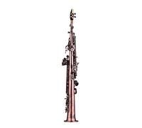 Saxophone Soprano Droit BB Sax Instrument À Vent Motif Sculpté avec Étui Gants Sangles en Tissu Brosse Saxophone Laiton