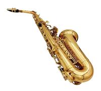 Saxophones pour débutants Saxophone alto avec corps plaqué or et instrument à vent en bois