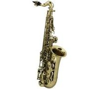 Saxophones ROY BENSON AS-201 - POUR ENFANT (VERNI) Saxophone Alto étude