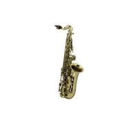 Saxophones ROY BENSON AS-201 - POUR ENFANT (VERNI) Saxophone Alto étude