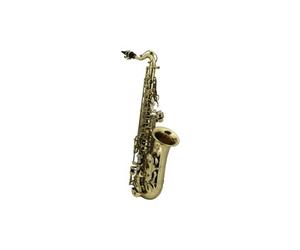 Saxophones ROY BENSON AS-201 - POUR ENFANT (VERNI) Saxophone Alto étude