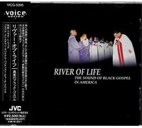 Say Amen-The Black Gospel Mus [Import]