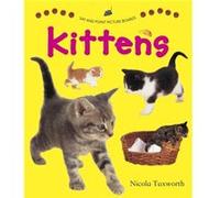 Say And Point Picture Boards: Kittens (Say & Point Picture Book) (Board Book) Nicola Tuxworth, (Auteur)