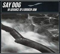 Say Dog - in Advance of a Broken Arm [Import]