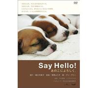 Say Hello! [Dvd]