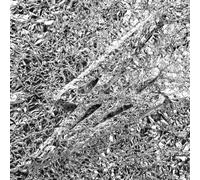 Say She She - Silver [Vinyl Lp]