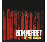 Say What You Want [Import]