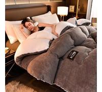 SAYEYBU Couette en Agneau Super Chaude, Couverture d'hiver en Polaire Double Face, Couette éPaisse en Peluche Chaude, Couette en Duvet De Couleur Unie, Lavable en Machine,B,150x200cm(3.5kg)