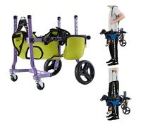 SAYEYBU Fauteuil Roulant pour Pattes ArrièRes, Pieds De Chariot RéGlables, Aide Les Petits Membres PostéRieurs ParalyséS à Retrouver Leur Mobilité,Vert