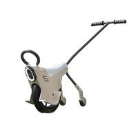 SAYEYBU Monocycle à Main De 30 Cm pour Enfants, Monocycle LéGer, avec éClairage, PoignéEs Et Roues Auxiliaires, Monocycle Parent-Enfant, Monocycle pour Enfants,01