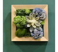 SayfuR Art Mural Succulent Artificiel, décoration intérieure Plantes artificielles murales suspendues, Greenery Wall Art Decor Faux Plantes pour Le Salon Coltrierie Nursery 04-20 * 20cm
