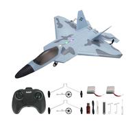 SAYZON Avion RC F22 Raptor modèle 2CH LED RTF P530 RC Jet pour extérieur 2,4 GHz RC Planeur d'avion avec 2 Batteries