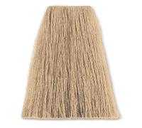 SBC Hairhaus Coloration pour cheveux Super Brillant Color 10-3 g Blond clair doré 100 ml