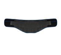 SBJKLYRN Ceinture de soutien lombaire， Support lombaire auto-chauffant avec trois coussinets amovibles, thérapie magnétique, soulage la douleur et le stress(Blue,Medium)