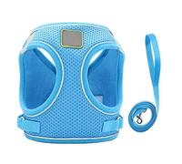 SBJKLYRN Harnais pour Chien， Ensemble Harnais for Chien et Chat, Gilet réfléchissant en Nylon Bleu, Laisse for Chiot(XL)