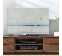 SBJKLYRN Housse TV, Couverture de télévision de Style rétro, LED LCD Murale 55 Pouces 50 incurvée 65 Couverture de télévision imprimée Paysage Tissu imperméable et Doux, Couleur: C(C,60in(141x85cm))