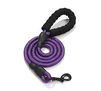 SBJKLYRN Laisse pour Chien, Laisse for Chien Durable, Bleue, réfléchissante, Grande Taille, for entraînement, Course, Moyenne et, Rouge(Violet)