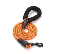SBJKLYRN Laisse pour Chien, Laisse for Chien Durable, Bleue, réfléchissante, Grande Taille, for entraînement, Course, Moyenne et, Rouge(Orange)