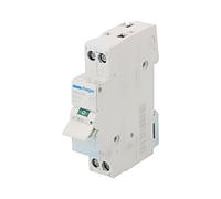 SBN216 Disjoncteur de charge Pôle : 2 pour rail DIN 16A 230VAC IP20 HAGER