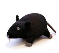 SBZIOJHDR Peluches, Jouet en Peluche de Rat Mignon, Animal Hamster Rampant Doux, Oreiller et Confortable à câliner(Black,60CM)
