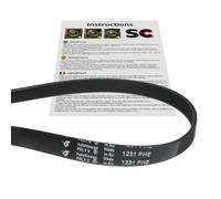 SC - Courroie de machine à laver 1231 PHE