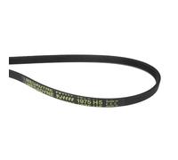 SC Solocorreas - Courroie sèche-linge 1975 H5