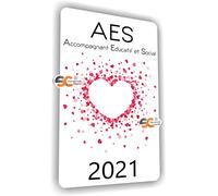 SC ® - Sticker/Autocollant - Caducée 2021 - AES - Accompagnant Educatif et Social - Type de pose Vitrophanie* (se colle sur le pare-brise à l'intérieur du véhicule) - Fabrication Française