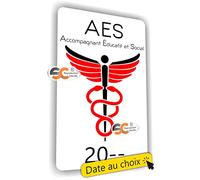 SC ® - Sticker/Autocollant - Caducée AES - Accompagnant Educatif et Social - Date Personnalisable - Type de pose Vitrophanie* (se colle sur le pare-brise à l'intérieur du véhicule)