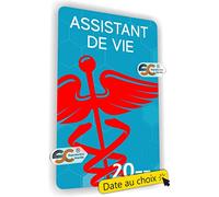 SC ® - Sticker/Autocollant - Caducée Assistant de Vie - Date Personnalisable - Type de Pose Vitrophanie* (se Colle sur Le Pare-Brise à l'intérieur du véhicule)
