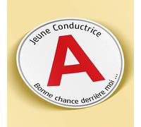 SC ® - Sticker/Autocollant - Disque A Humour " Jeune Conductrice - Bonne Chance derrière moi " Jeune Permis - Jeune Conducteur - idée Cadeau originale - Fabrication Française (Modèle 4)