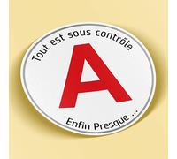 SC ® - Sticker/Autocollant - Disque A Humour " Tout est sous Contrôle.. Enfin Presque " Jeune Permis - Jeune Conducteur - idée Cadeau originale - Fabrication Française (Modèle 16)