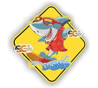 SC ® - Sticker/Autocollant - Requin Surf Fun - Fabrication Française