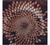 SCALE THE SUMMIT "THE COLLECTIVE" CD NEW