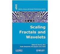 Scaling, Fractals And Wavelets